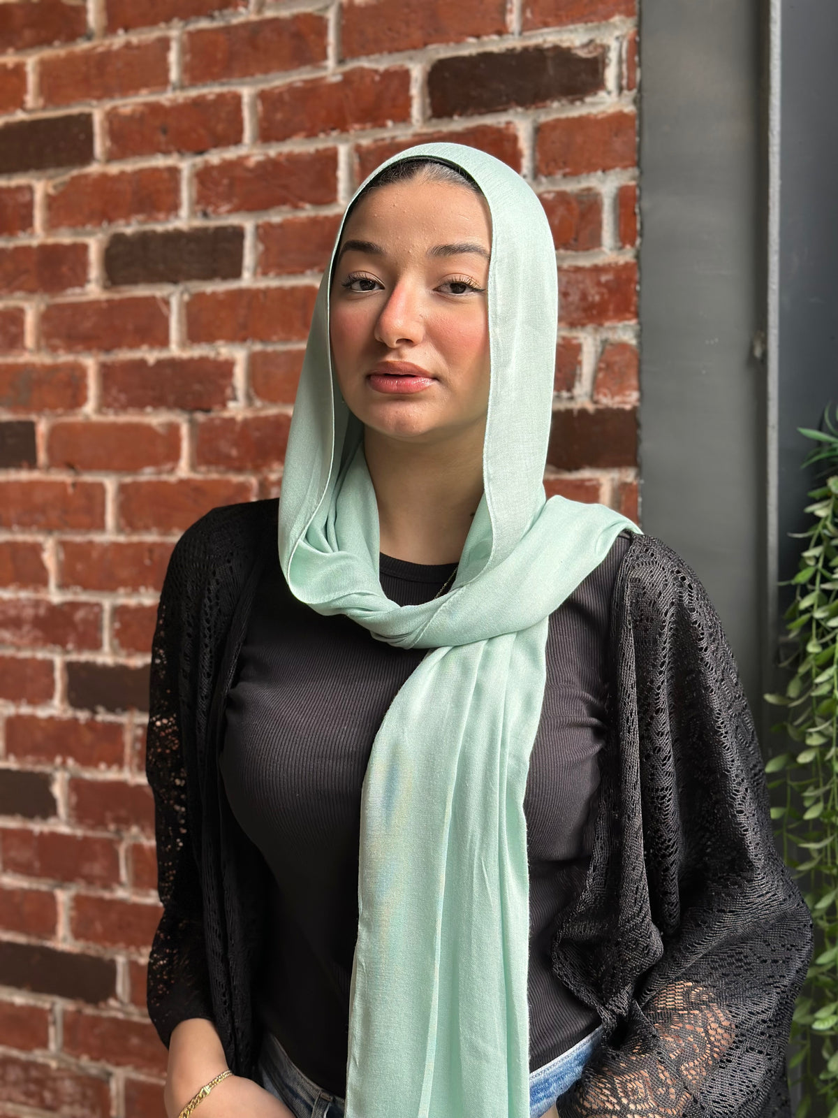 Mint Green | Basic Modal